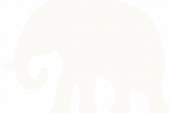 Indiska-Logotype-Elephant-Alabaster-White