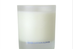 Washologi_Soy-Wax-Candle-Desire_300-ml_299-SEK