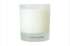 Washologi_Soy-Wax-Candle-Harmony_300-ml_299-SEK